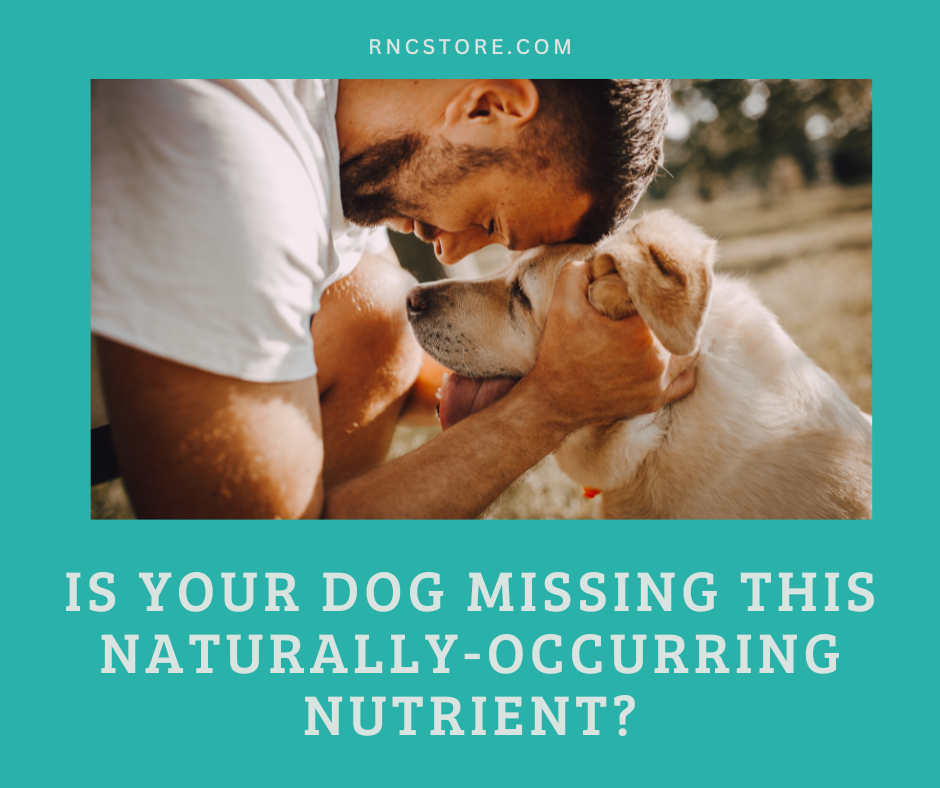 Is Your Pet Missing This Naturally Occurring Nutrient?