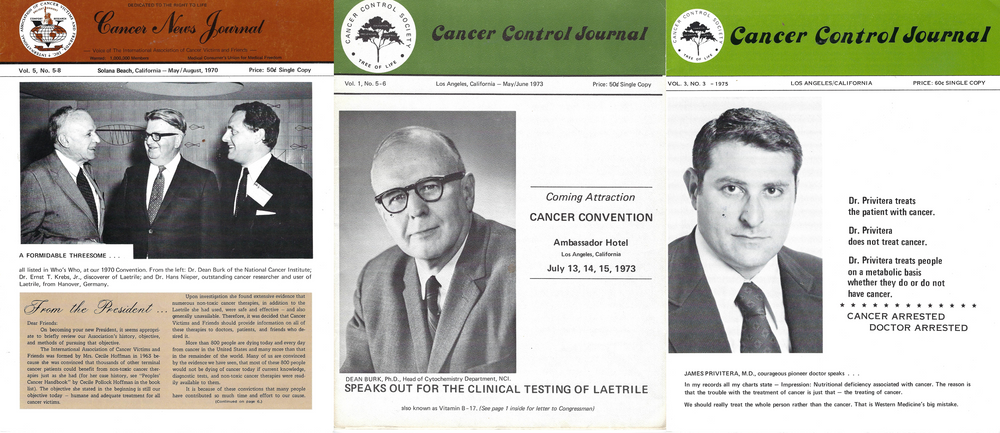 
            
                Load image into Gallery viewer, (Newsletters) 1970s Newsletters-Cancer News Journal/Cancer Control Journal (set of three, 24 pages each)
            
        