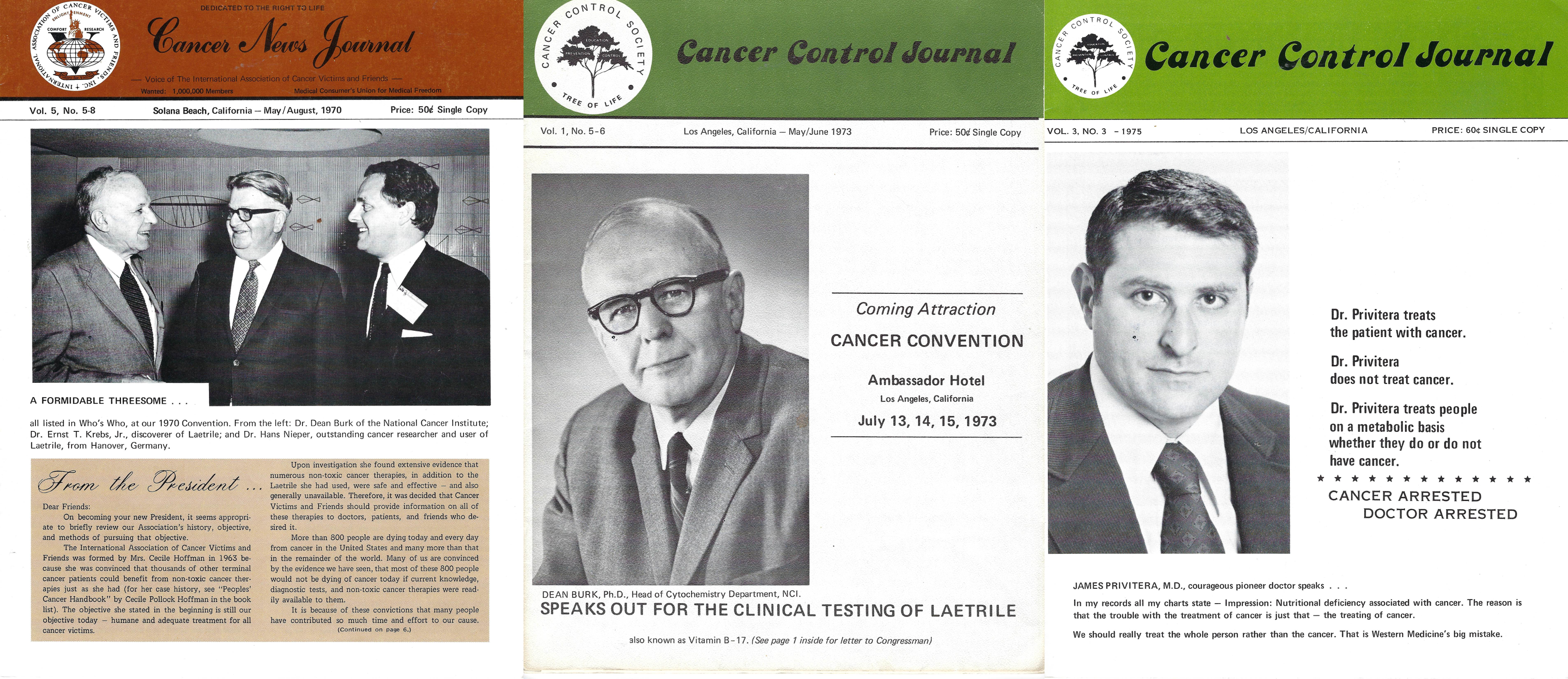(PDF) 1970s Newsletters-Cancer News Journal/Cancer Control Journal (set of three, 24 pages each)