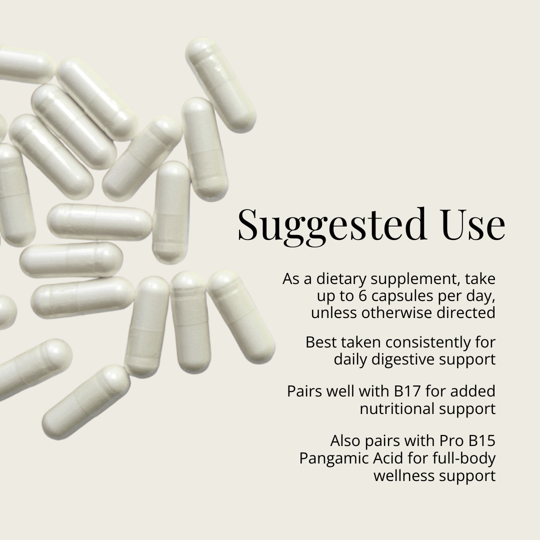 Pro Enzymes — suggested daily use